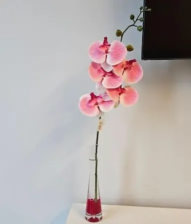 Apartment Luz De Luna Con Terraza Privada Valencia